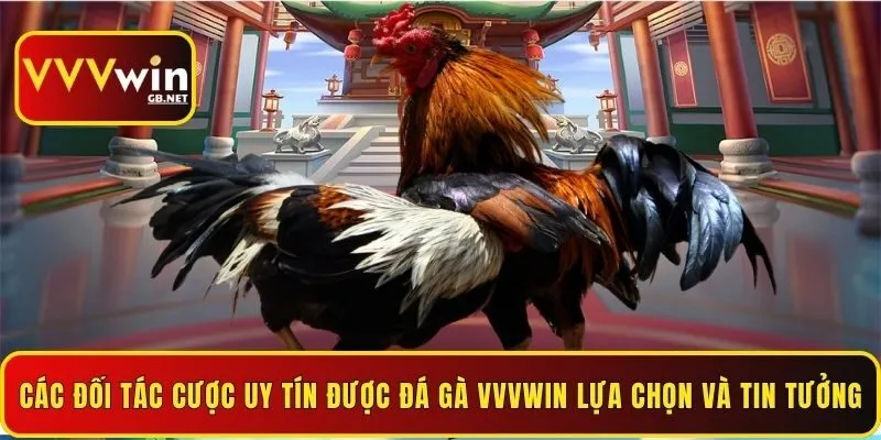 cac-doi-tac-cuoc-uy-tin-duoc-da-ga-vvvwin-lua-chon-va-tin-tuong