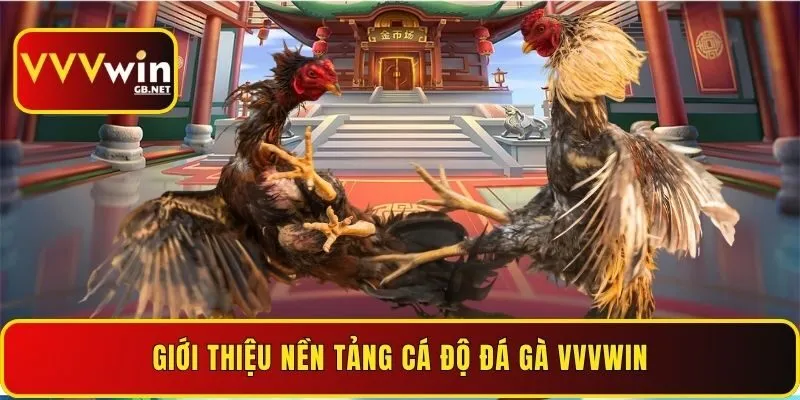 gioi-thieu-nen-tang-ca-do-da-ga-vvvwin